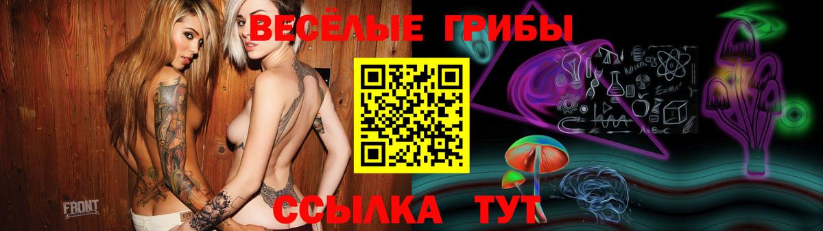 Галлюциногенные грибы Cubensis Ейск
